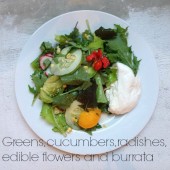 Summer salad mania